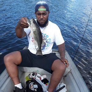 Meet your Posher, Troy